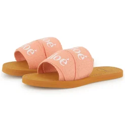 Logo slides