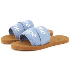 Logo slides